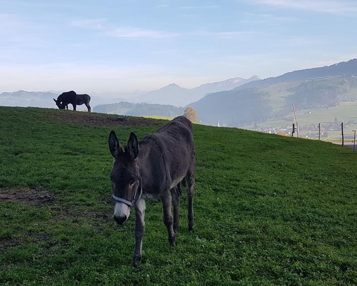 Gaststätte zum Rechberg